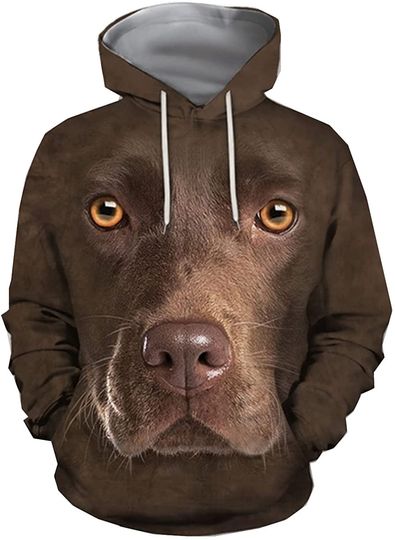 Chocolate Labrador Men's Pullover Hoodie Dog 3D Printed Hooded Sweatshirt