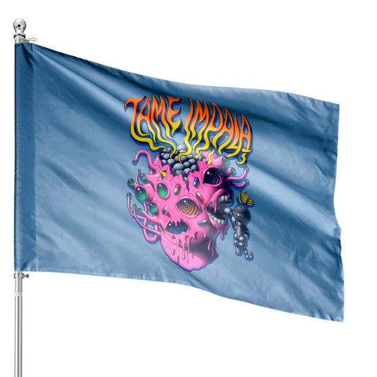 Discover Vintage Tame Impala House Flags