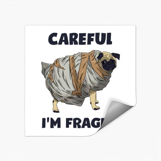 Discover Careful, I'm Fragile - Pug - Stickers