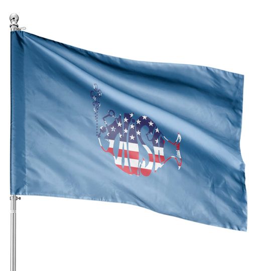 Discover Phish American -- House Flags