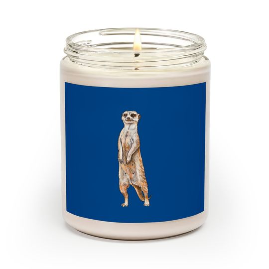 Discover LADY OF THE MEERKAT MANOR - Meerkat - Scented Candles