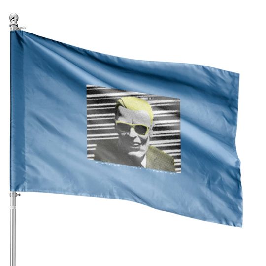 Discover Max Headroom Incident House Flags