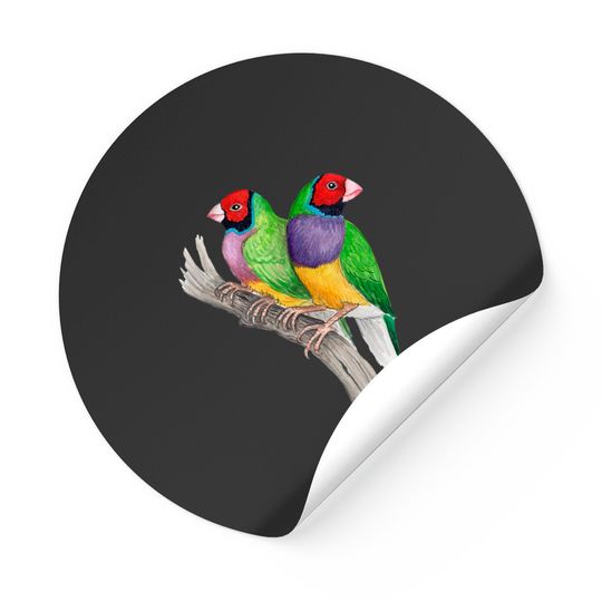 Discover Gouldian Finches Classic Stickers