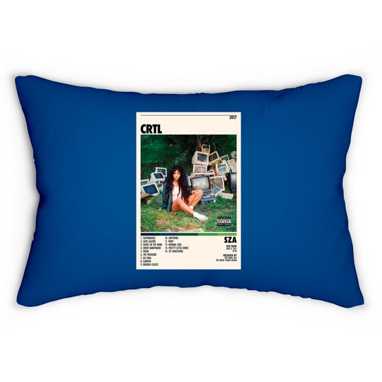 Discover Sza Posterctrl Ctrl Lumbar Pillows