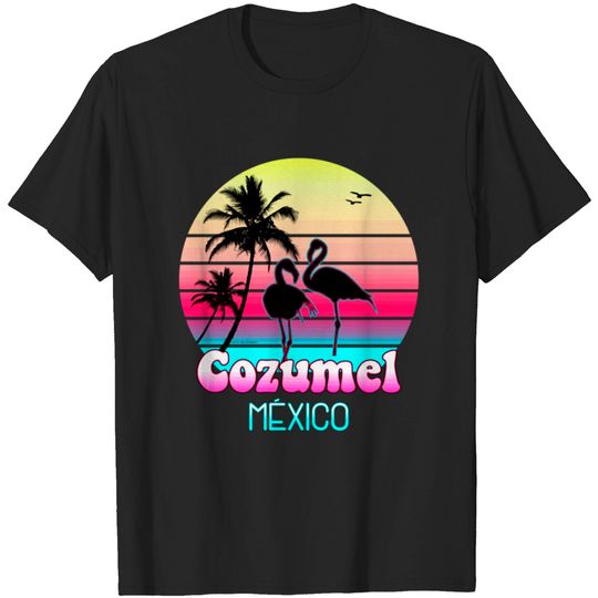 Discover Cozumel Mexico Vintage Sunset Vacations Tshirt T-shirt