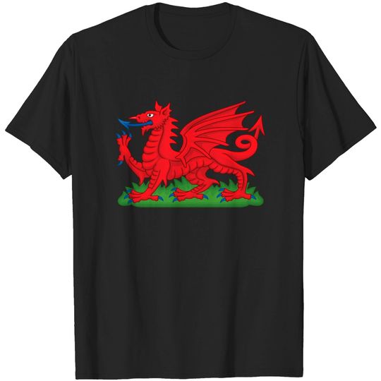Discover Wales Red Dragon National Flag Symbol T-shirt