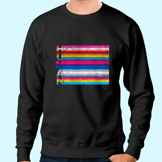 Discover Human Lesbian Bisexual Transgender Pansexual LGBT Flag Sweatshirt Sweatshirt