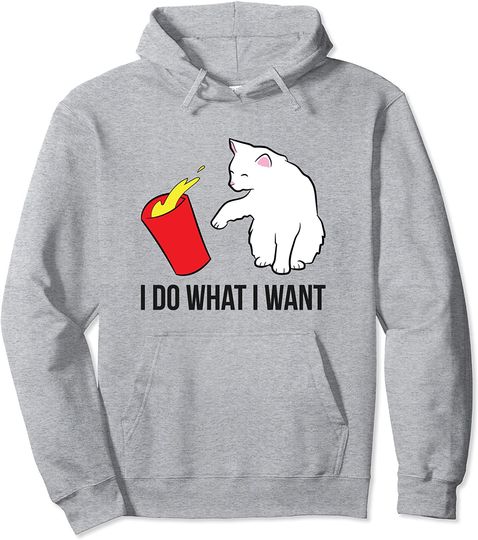Discover I Do What I Want Funny Cats Pullover Hoodie