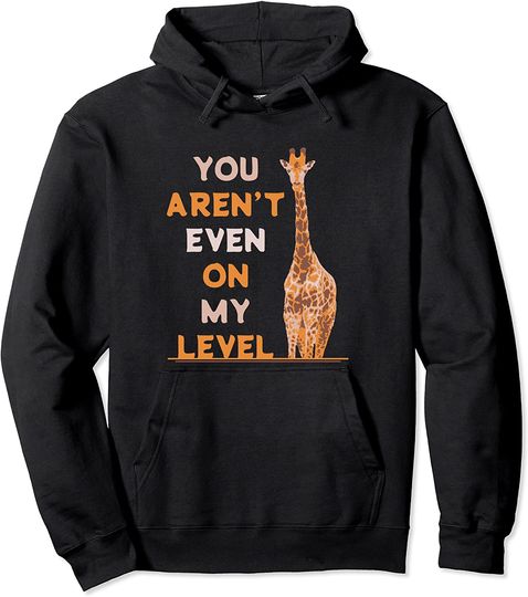 Discover You Aren't Even On My Level Pullover Hoodie