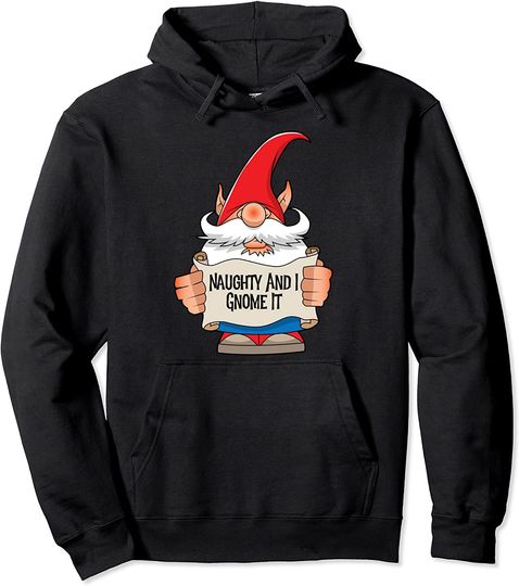 Discover Naughty And I Gnome It Pullover Hoodie