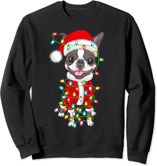 Discover Boston Terrier Christmas Sweatshirt