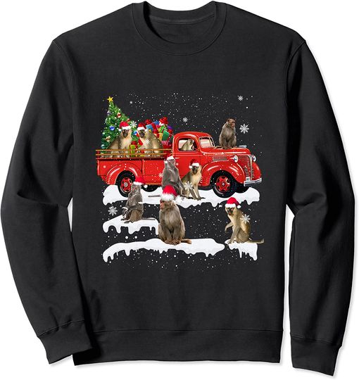 Discover Monkey Riding Red Truck Xmas Merry Christmas Sweatshirt