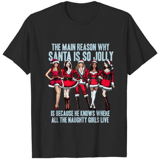 Funny Sarcastic Christmas Shirt Xmas Design Santa T-shirt