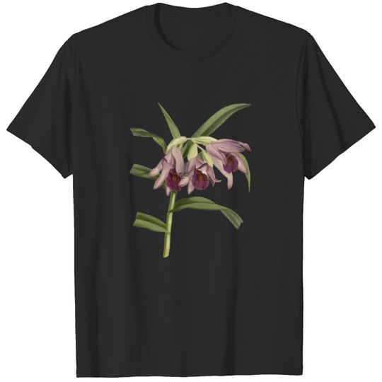 Purple Orchid botanical Illustration T-shirt
