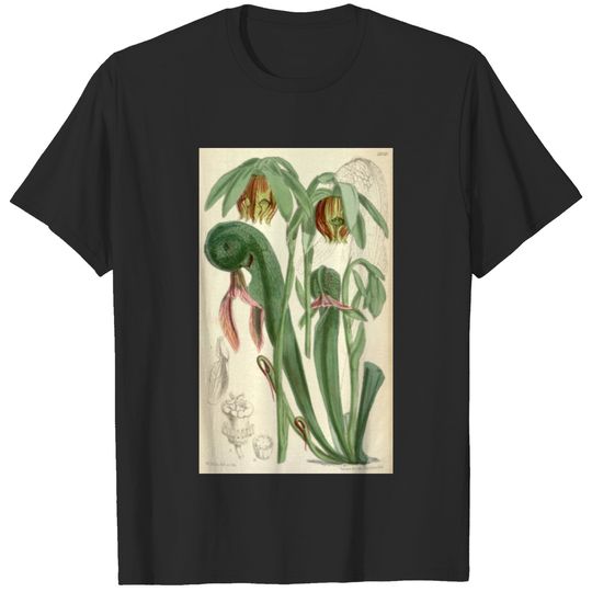 Curtis's botanical magazine (Tab. 5920) ( T-shirt