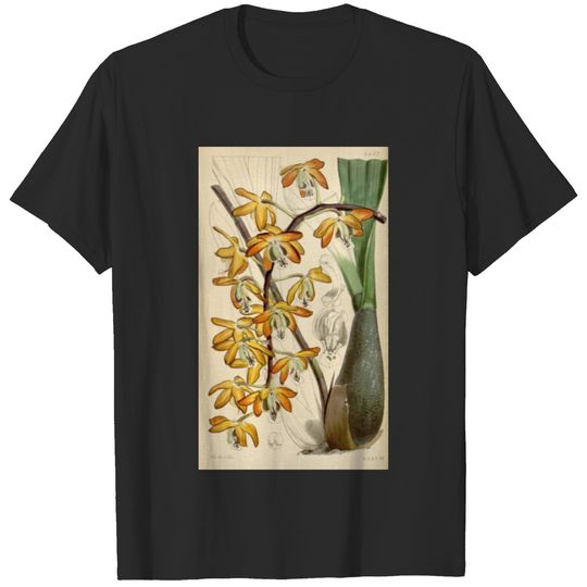 Curtis's botanical magazine (Tab. 4437) ( T-shirt