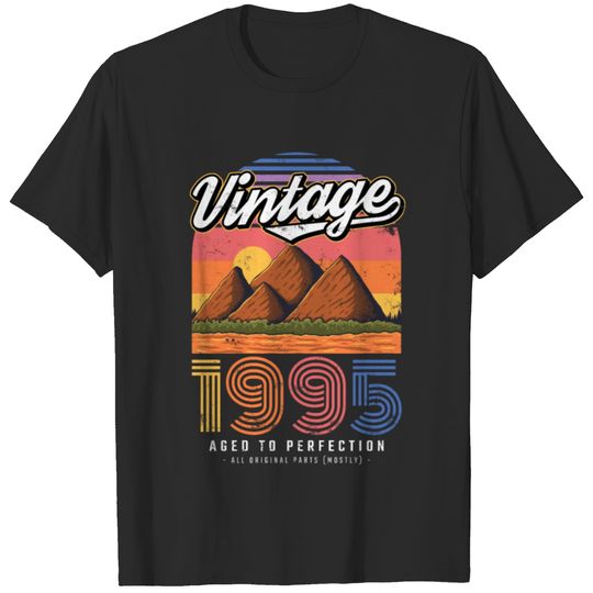 1995 Vintage born in Retro age Birthday gift idea T-shirt