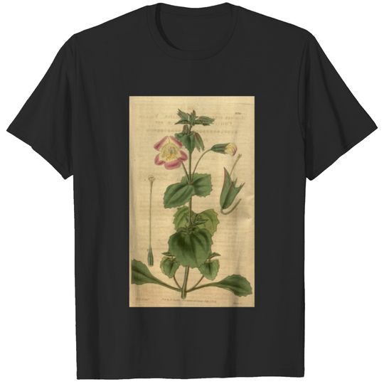 Curtis's botanical magazine (Plate 3336) ( T-shirt