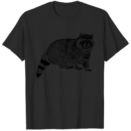 sketch a real raccoon T-shirt
