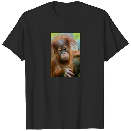 Cute Baby Orangutan looking straight ahead T-shirt