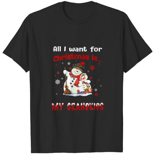 All I Want For Christmas Is My Grandkids Grandma S T-shirt