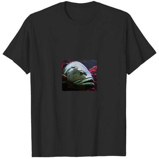 Large Grouper - Coral Reef T-shirt