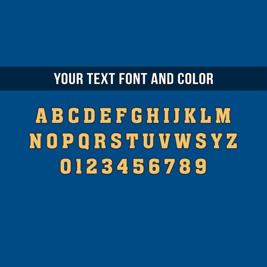 Customized US Air Force Bomber Jacket x “All Gave Some Some Gave All” Bomber Jacket