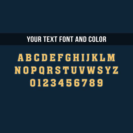 Customized US Space Force Bomber Jacket x “All Gave Some Some Gave All”