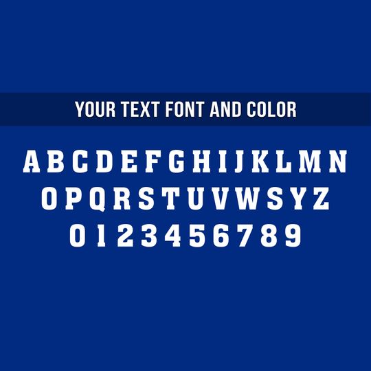 Customized U.S Air Force Bomber Jacket