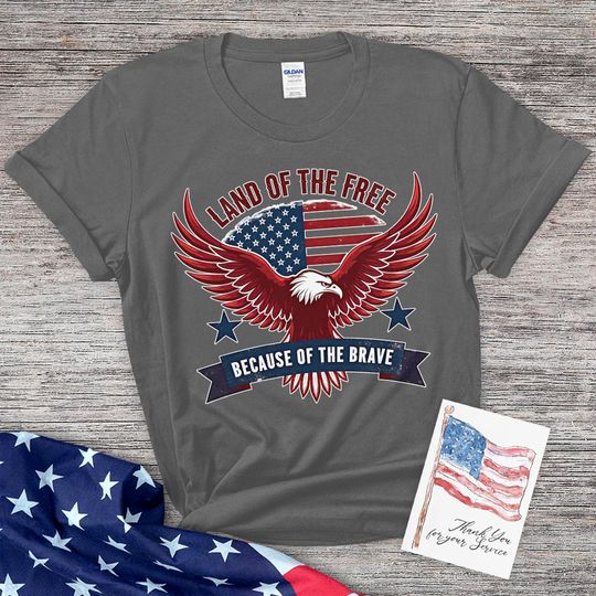 American Eagle Land of the Free T-shirt