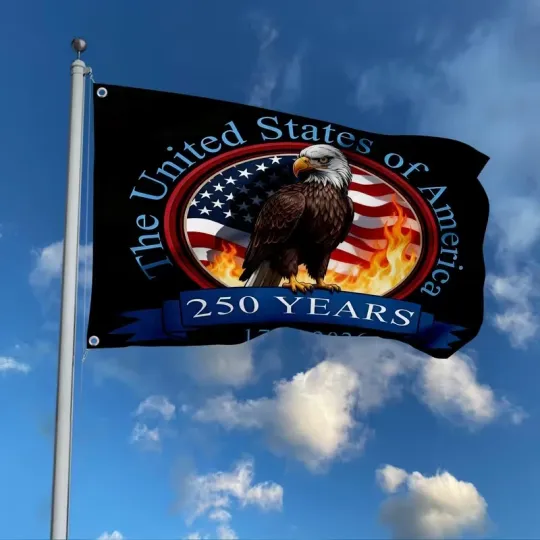 Discover 250th Anniversary United States Declaration of Independence - House Flag