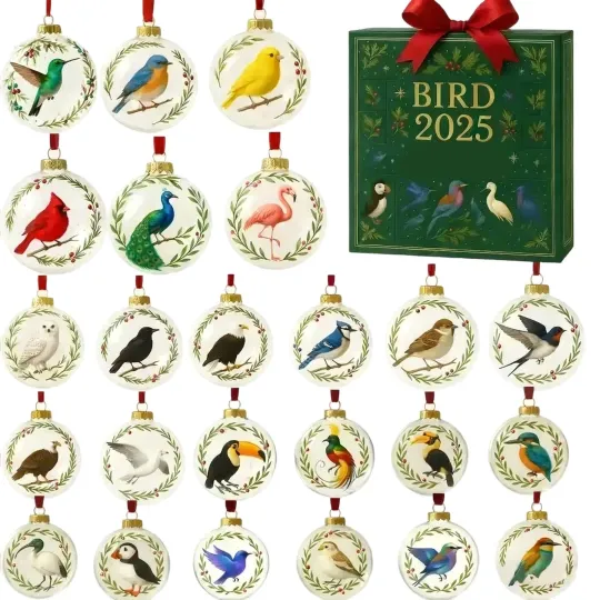 Discover Bird Advent Calendar 2025, 24 Days Christmas Calendar 2D Flat Birds Ornament