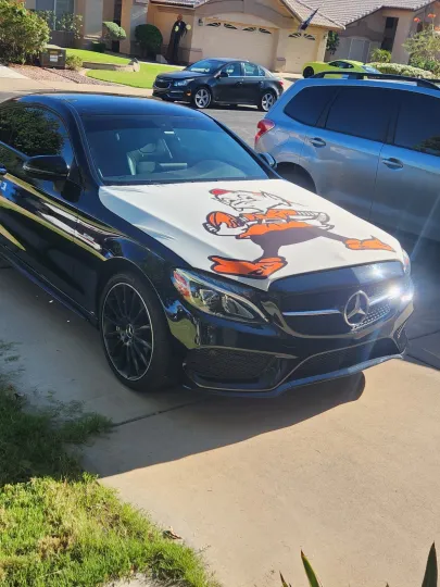 Discover Cleveland Browns Auto Hood Cover