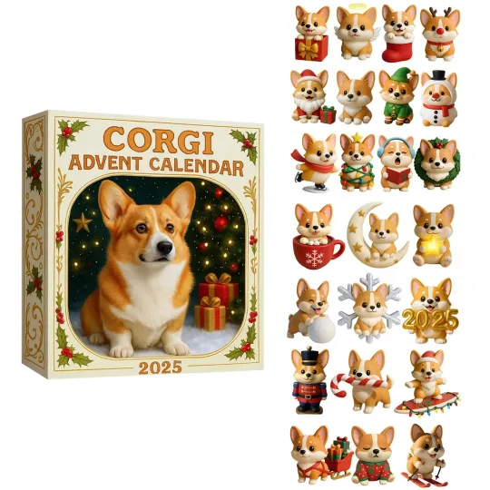 Discover Cute Coigi Advent Calendar 2025, Christmas Decorations Gifts 2D for Kids Boy Girl