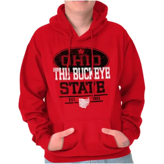 Discover Ohio The Buckeye State Souvenir Hoodie Unisex Pullover