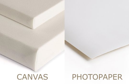 My Neighbor Totoro Poster