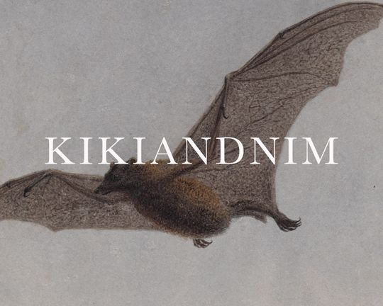 bat wall art | vintage halloween decor | halloween wall art | dark art | dark academia decor | gothic decor