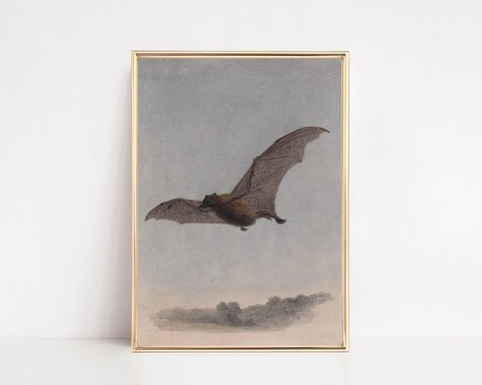 bat wall art | vintage halloween decor | halloween wall art | dark art | dark academia decor | gothic decor