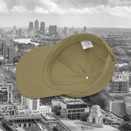 Working Class Hero Organic Cotton Dad Hat