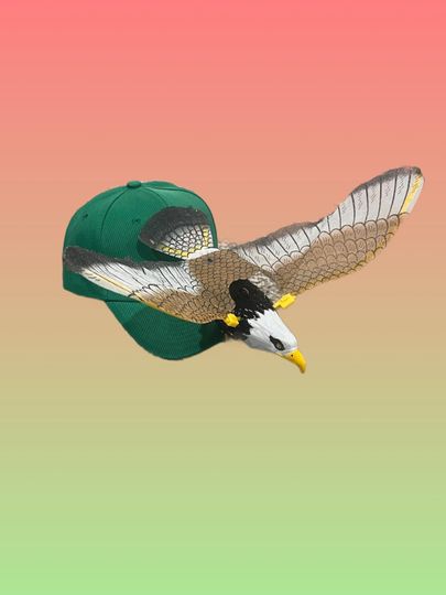 Philadelphia Eagles Flapping Hat