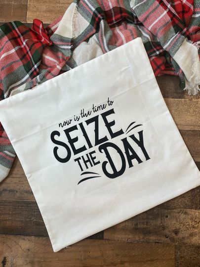 Seize The Day Throw Pillow Cover / Pillowcase / Pillow Sham / Newsies