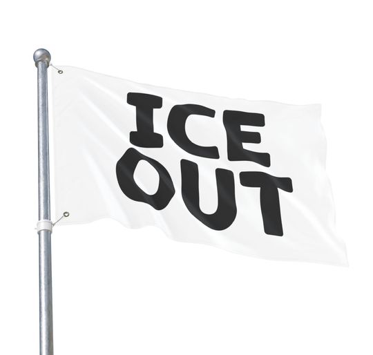 ICE OUT Flag