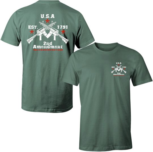 2nd Amendment Gun Rights Established 1791 Men's T-Shirt