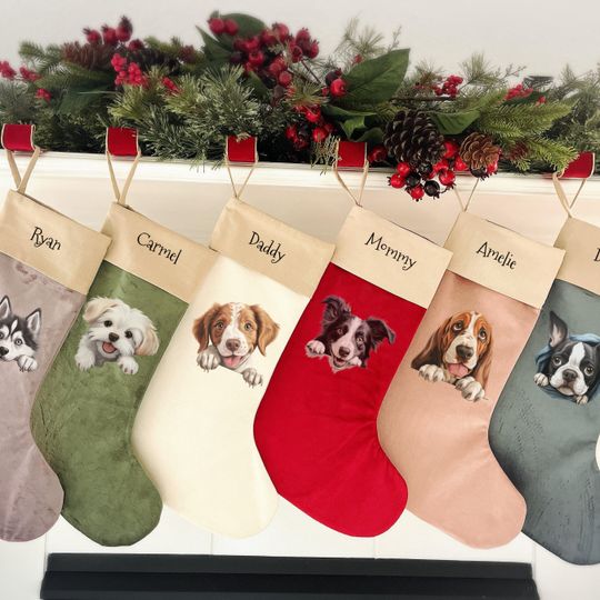 Personalized dog stocking, Disney Christmas Dog Breed Stocking