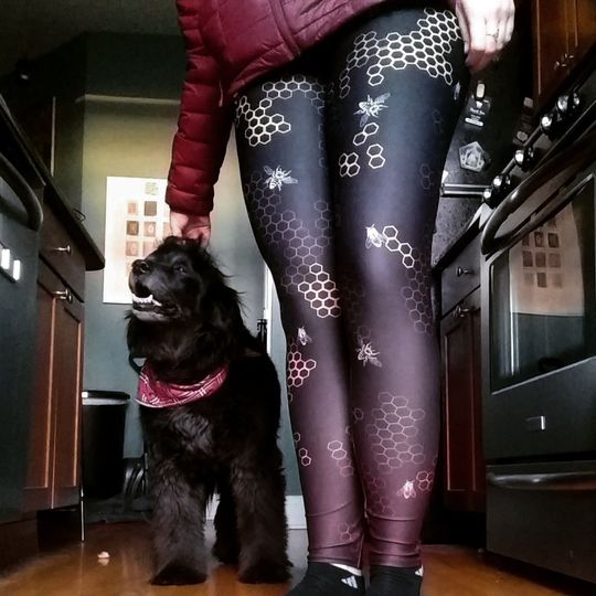 Honey Bee Leggings
