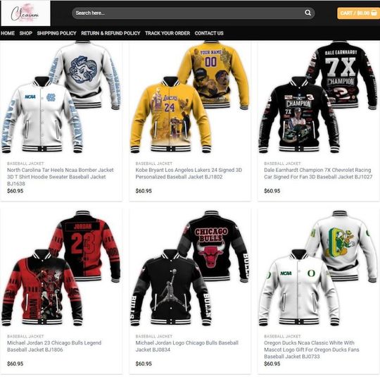 Florida State Seminoles 3D Hoodie