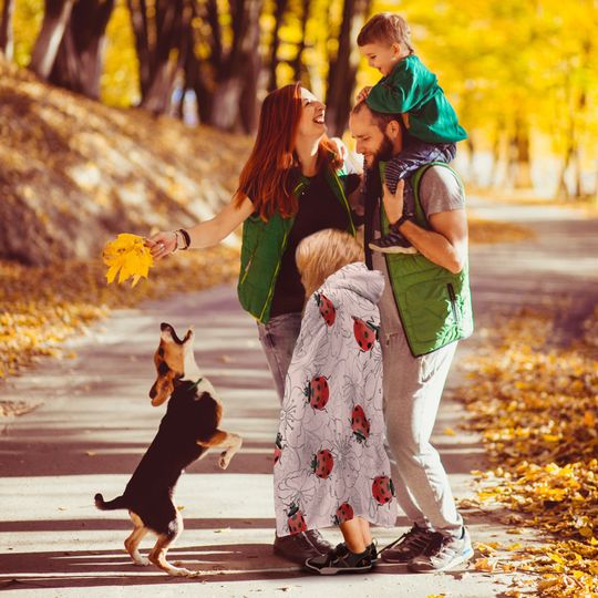 Ladybug Hooded Blanket