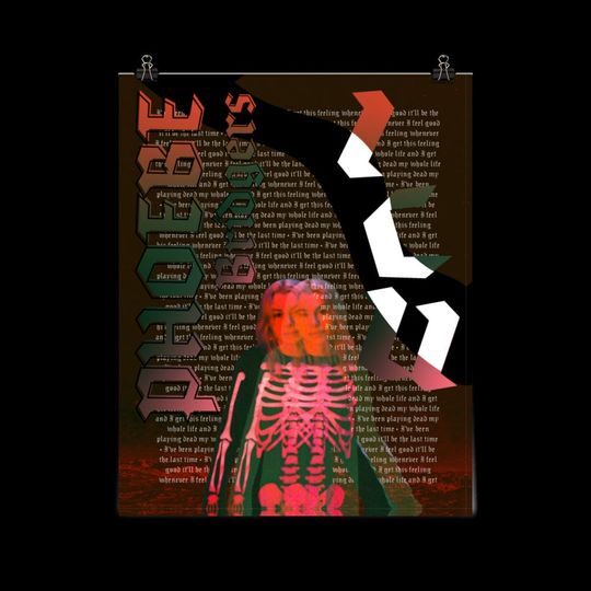 Phoebe Bridgers Poster | Punisher Album Print | Lyric Poster