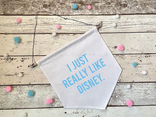 I just really like Disney Pennant Flag