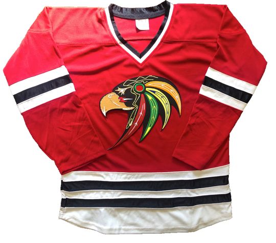 Hockey Jerseys with Hawk Crest - We Customize with Player Name and Number